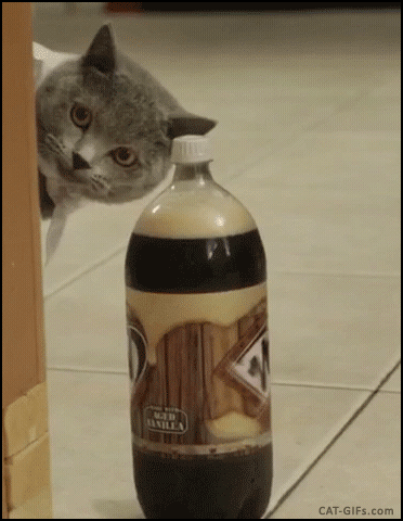 Это моя бутылка