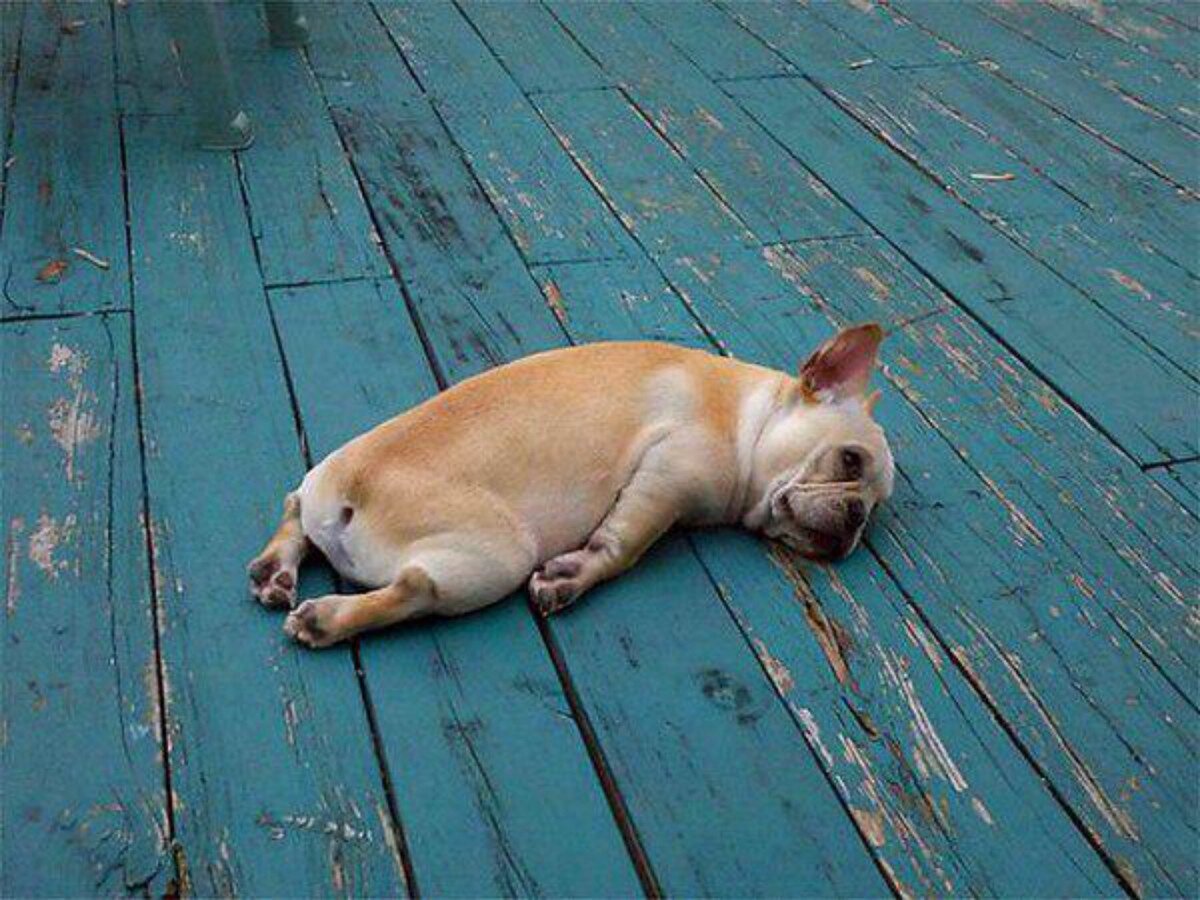 Яндекс.Картинки