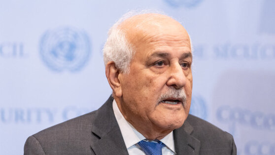    Постпред Палестины: СБ ООН в ситуации с Газой не оправдал роль гаранта мира Богдан Герцен