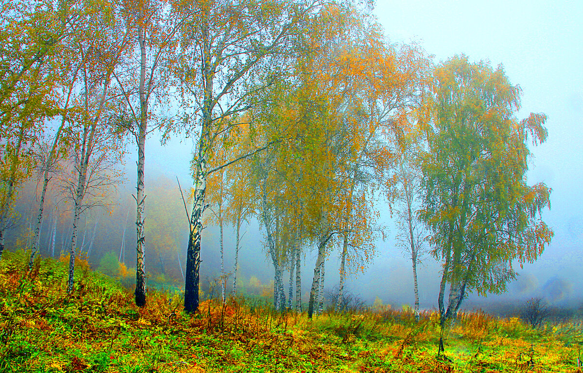 Фотография, стихотворение Василия Глуцкого