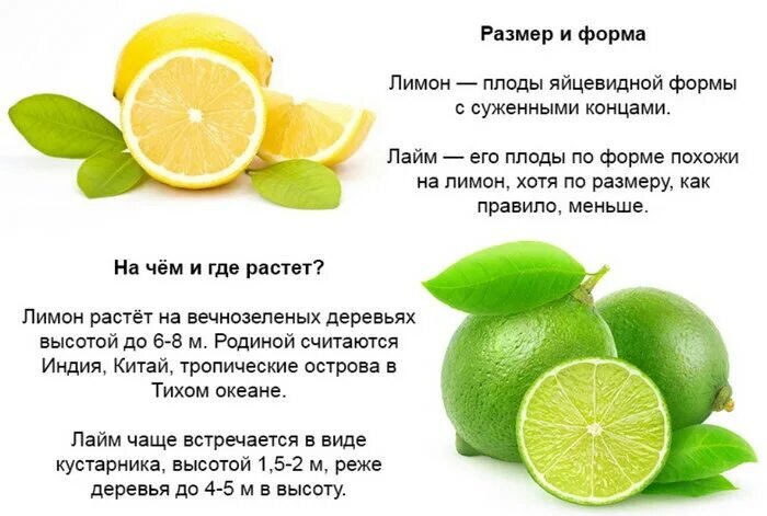 Померанец гесперидий. Какие витамины содержит лайм. Чем отличается лайм от лимона по вкусу. Сироп лимон-лайм. Чем отличается лайм от лимона по вкусу.