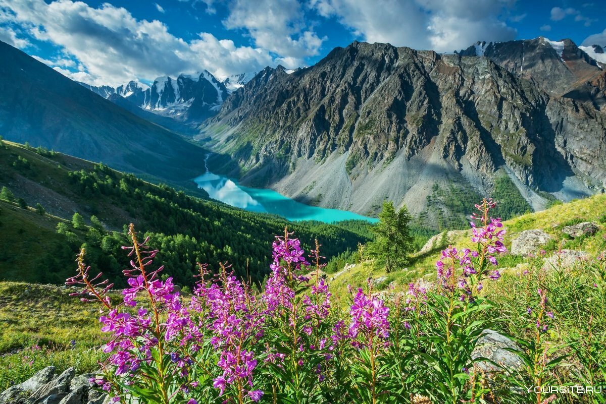 Источник: Интернет