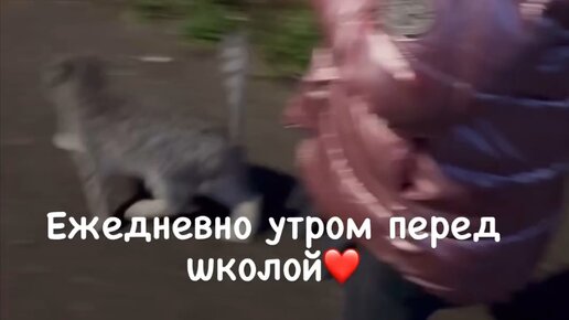 Дмитрий Минский | В одно и тоже время ждут моего ребенка. Они знают ...