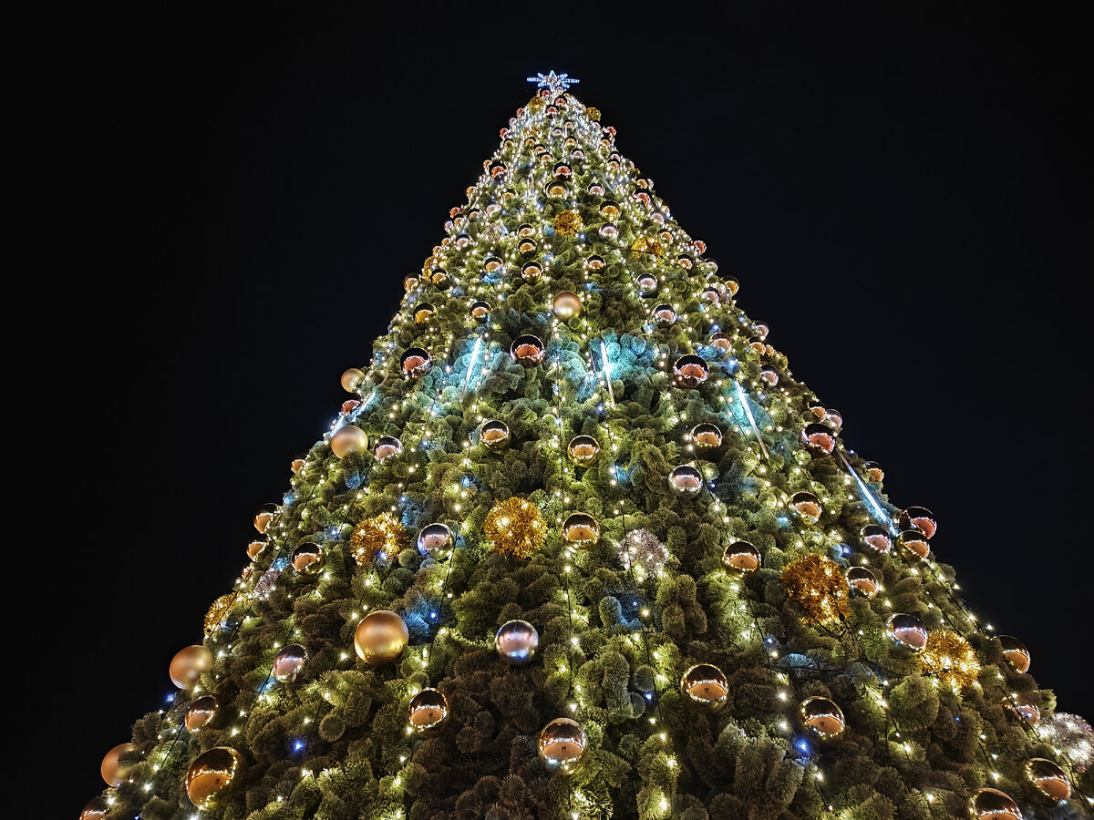 Новогодняя елка в Обнинске