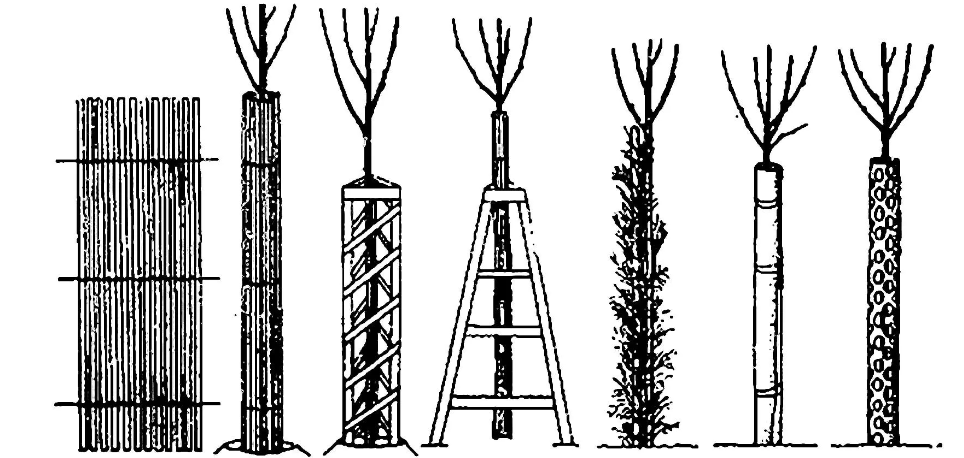 барьерная защита стволов