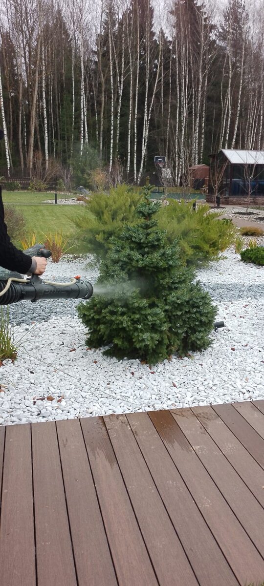 Обработка сада перед Зимовкой. Садовый центр Green Space