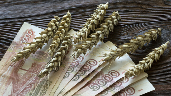 NIKOLAY GYNGAZOV/GLOBALLOOKPRESS