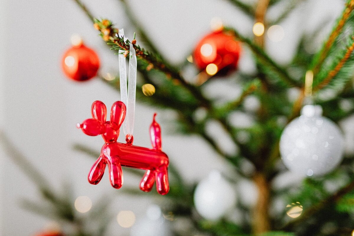 Фото: Karolina Grabowska / Pexels