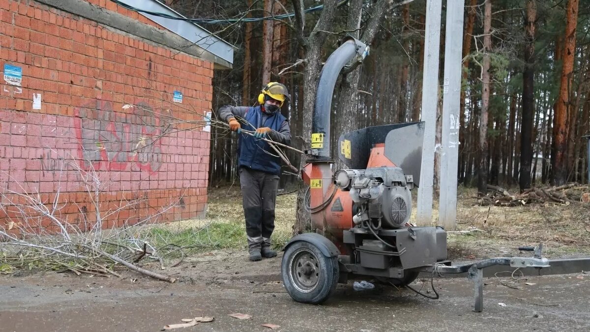     До ноября лес на улице Ворошилова должны очистить от сухостоя и мусора. Работать в лесопосадке подрядчик уже начал.