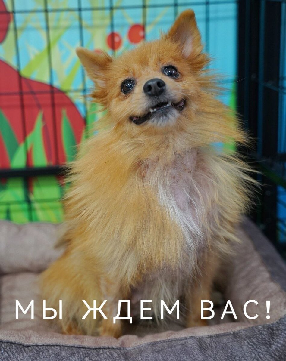 -2-2