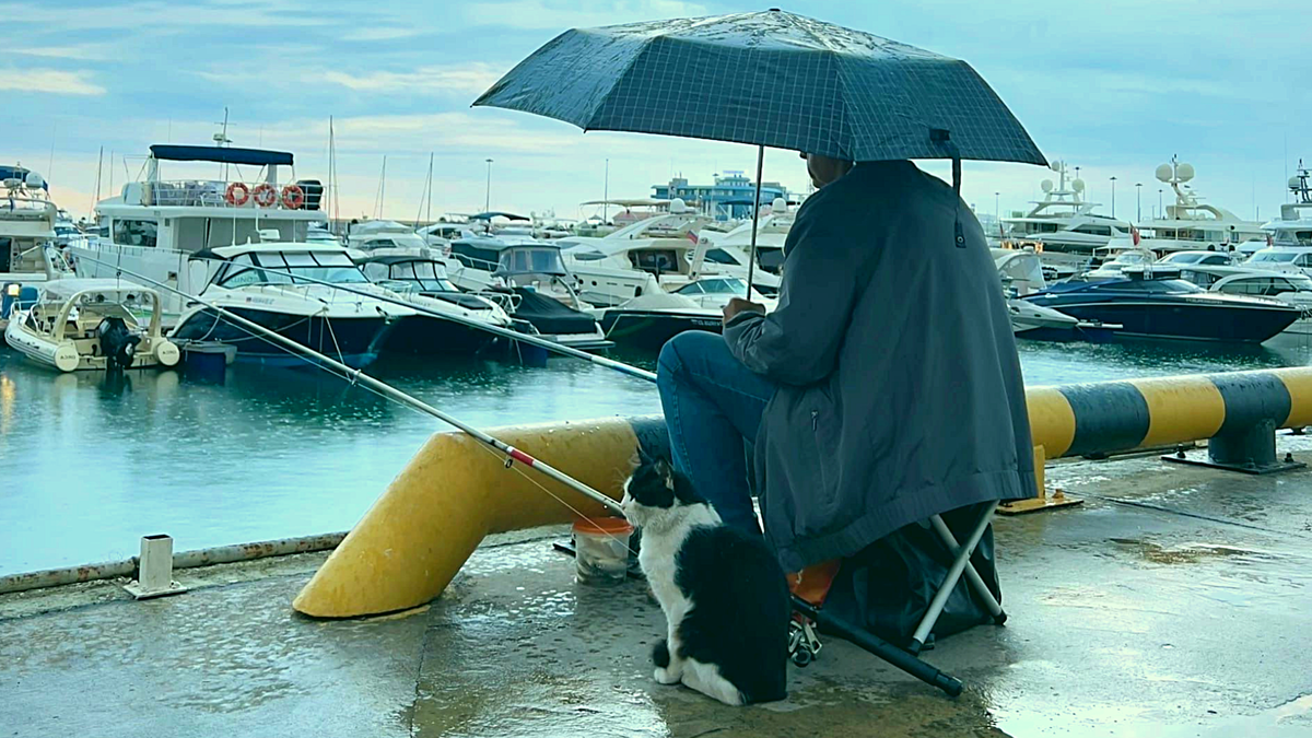 Хочешь рыбов - добудь их сам!