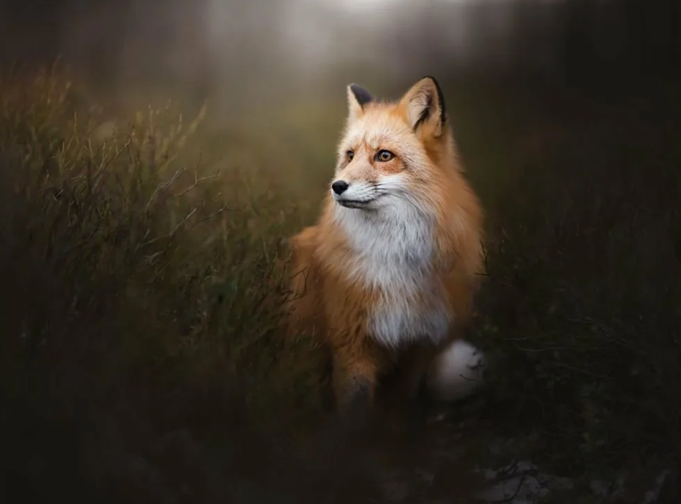 - "Вот опять заблудился"