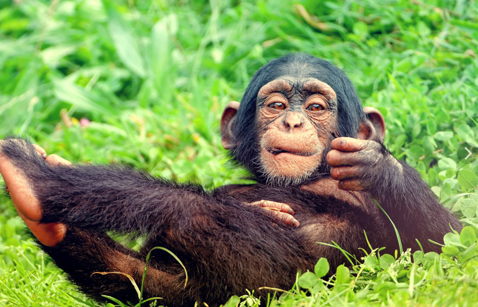 - "Мужики! Шли бы вот отсюда" 