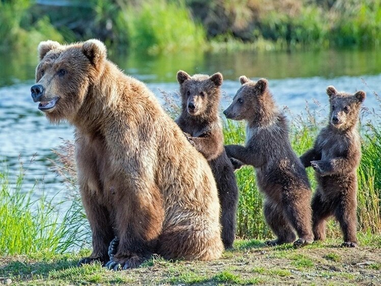     Фото: 1zoom.ru