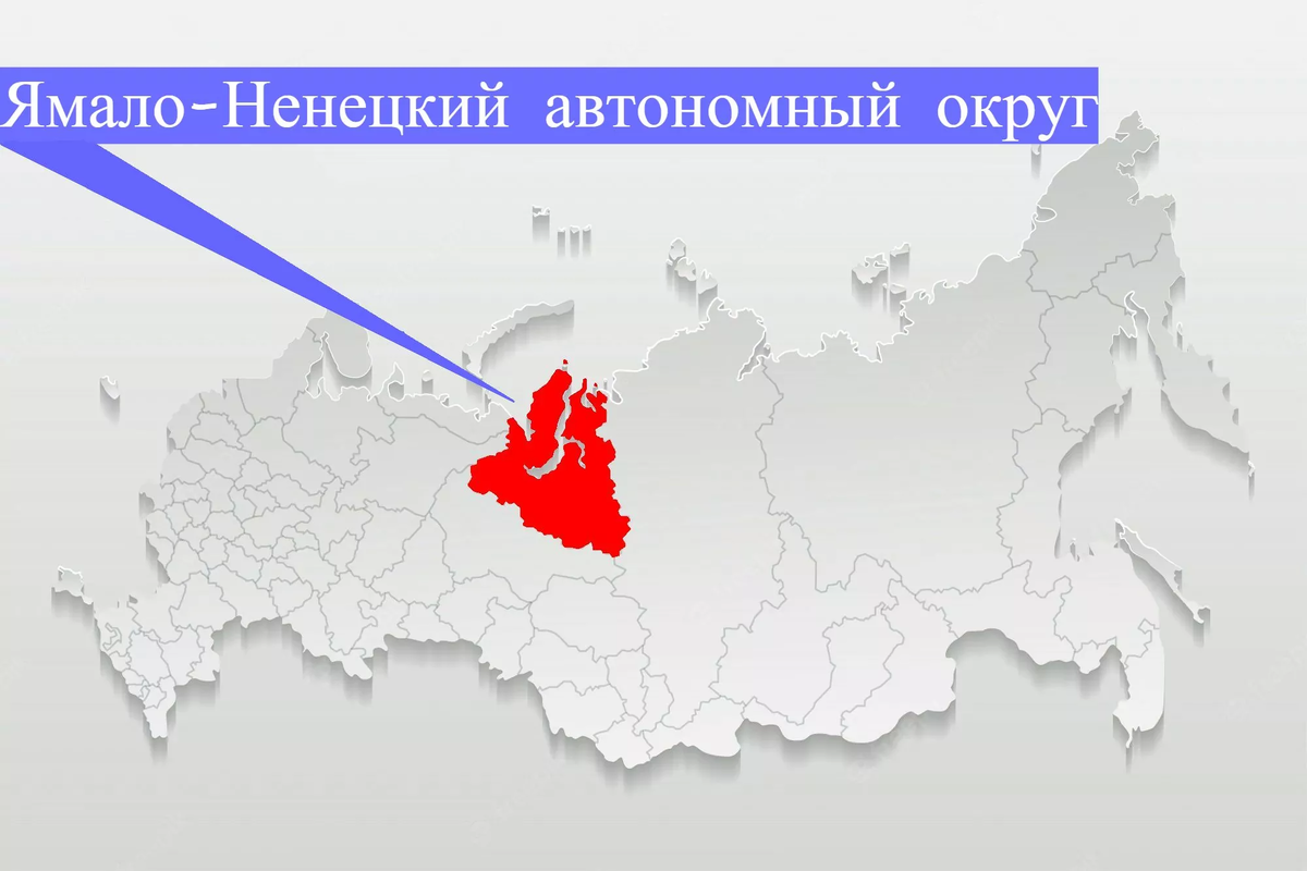 Примеры нао в россии Участие в 1-м Арктическом хлебном форуме