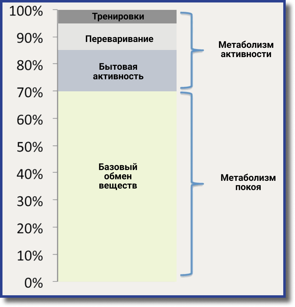 Мифы про метаболизм и почему люди не худеют на 1000 калорий? | Терентьев  Фитнес | Дзен