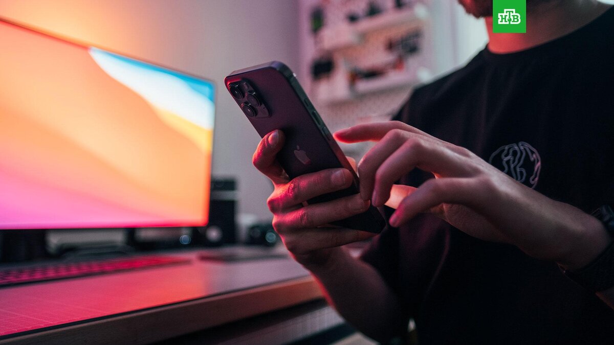    Фото: jonasleupe / unsplash.com