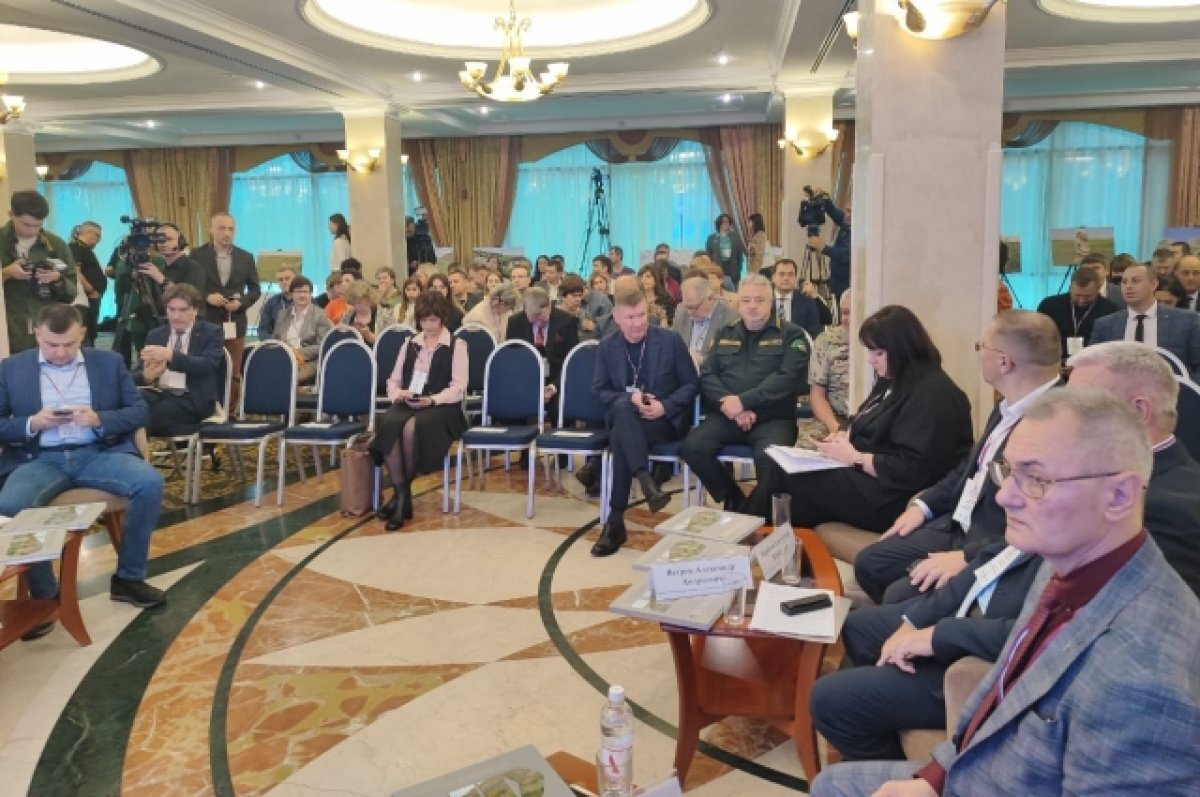    В Ростовской области специалисты обсудили состояние лесов новых регионов