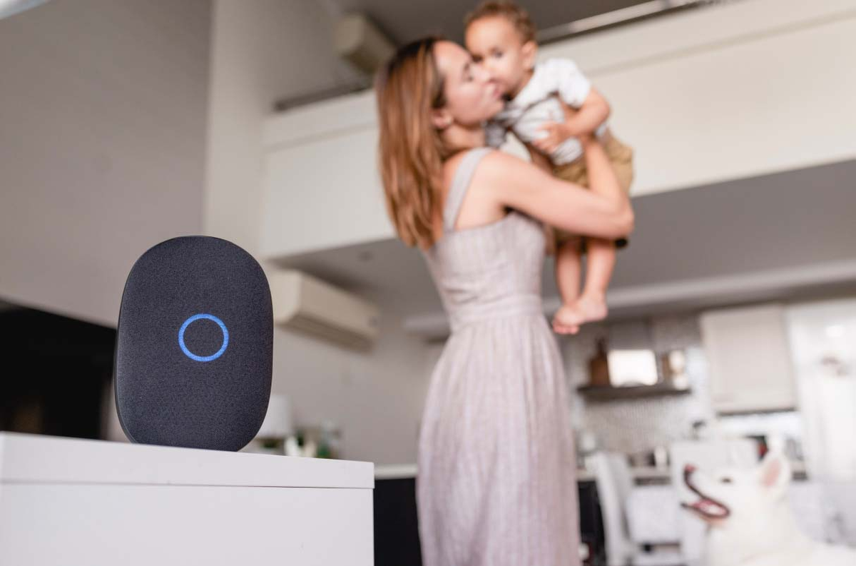 Иллюстрация: VK  📷
