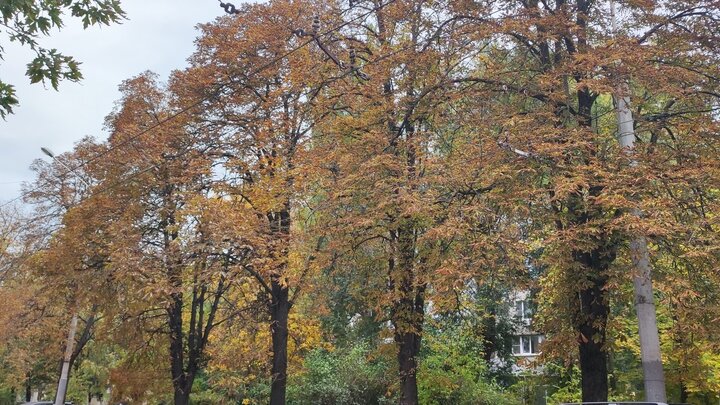 Фото: Царьград Ростов-на-Дону