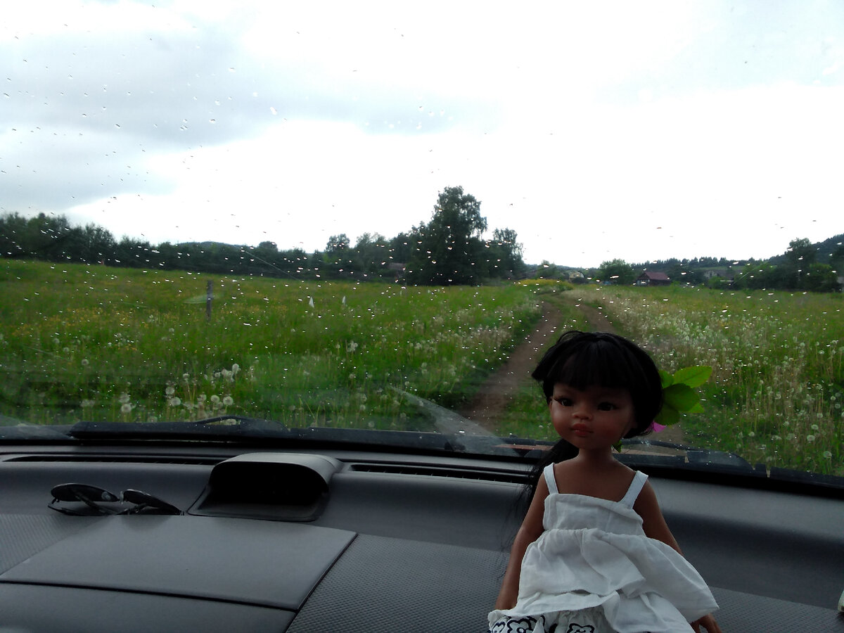 Одна из фоток 2020 г