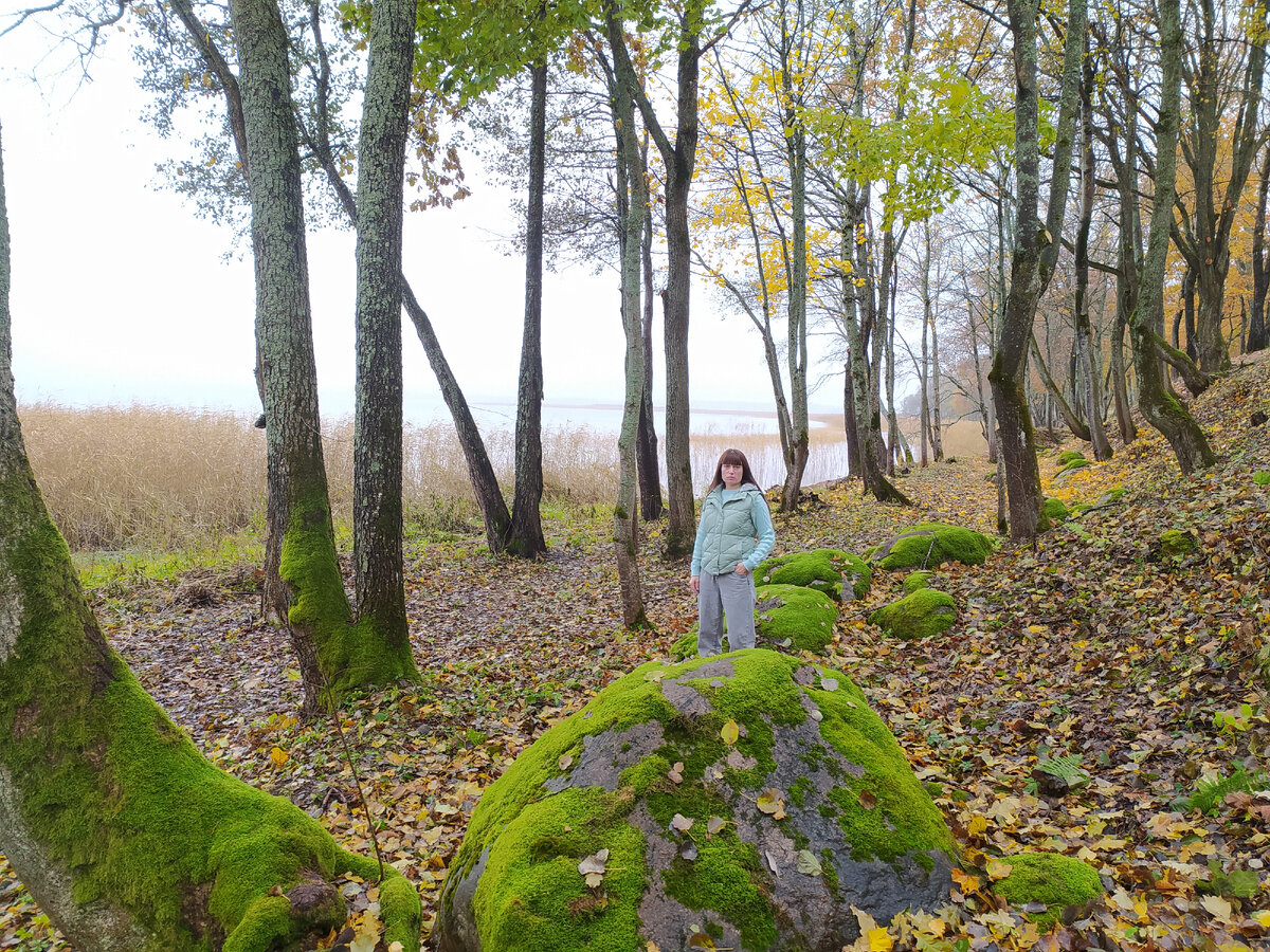 Где-то там за валунами и мхами на берегу)  /фото автора
