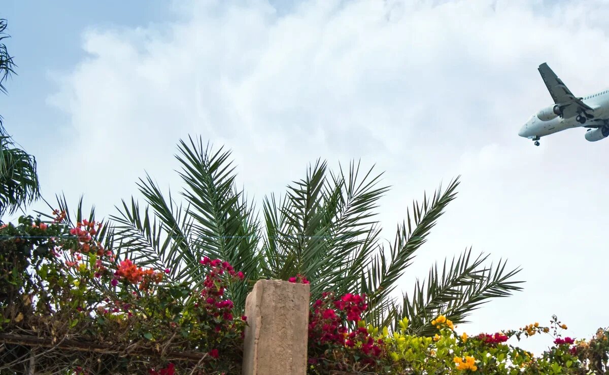    Египет не хочет терять туристов и готов платить за рейсы еще больше