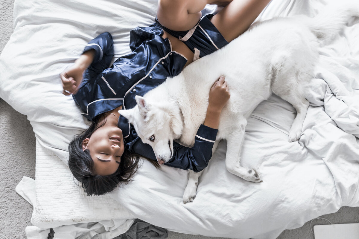 Спать в обнимку или приучать питомца к лежанке? Photo by Kristina Petrick on Unsplash