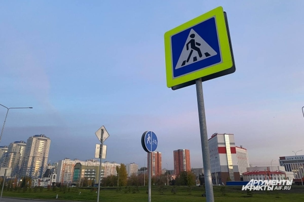    В Казани появятся новые проекционные пешеходные переходы