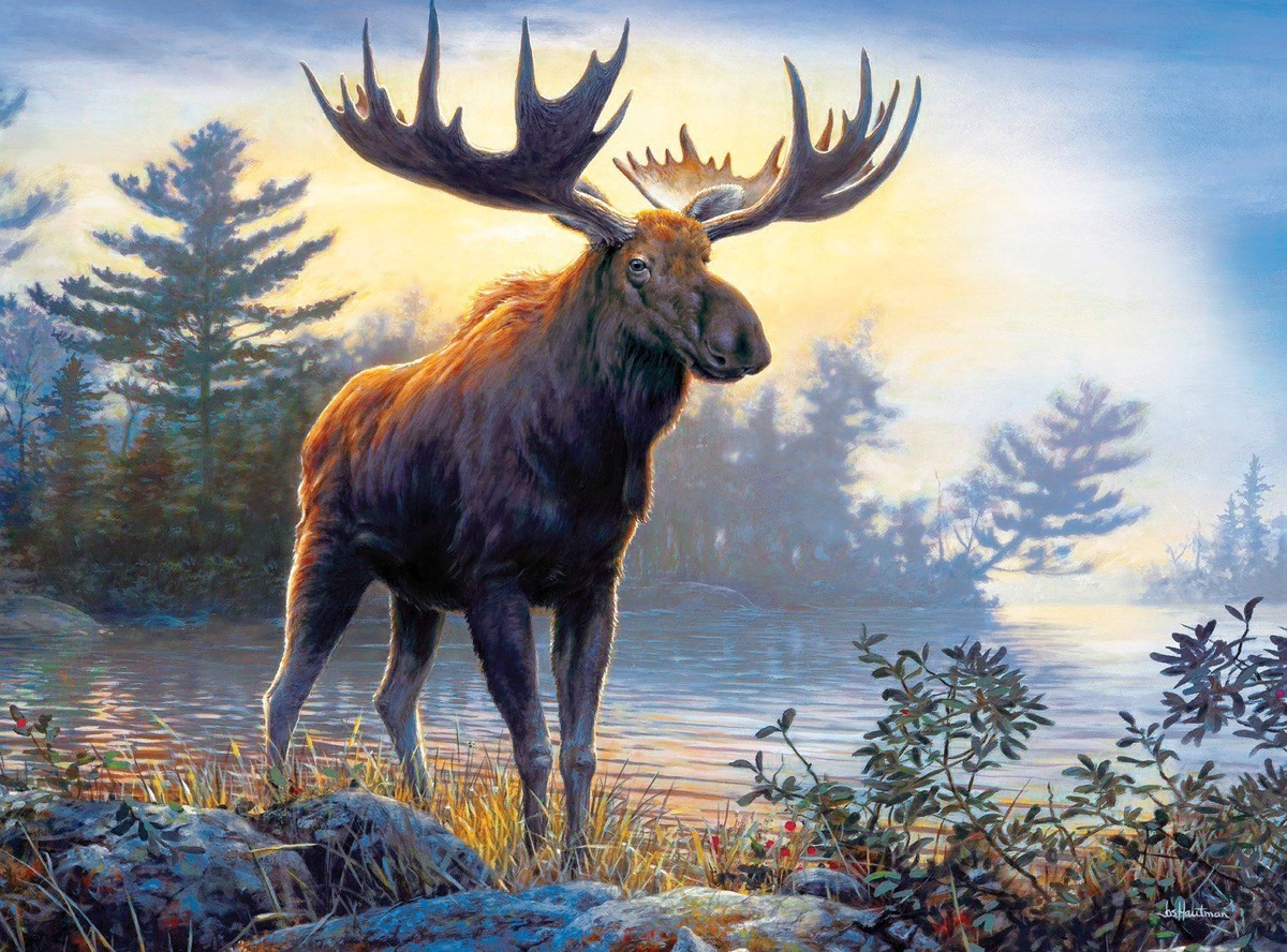 mixyfotos.ru Покровитель 2024 года