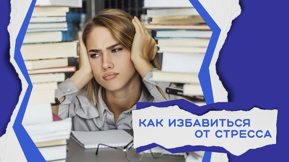 Как избавиться от стресса? Ответ найден! | РЭУ им. Г. В. Плеханова | Дзен