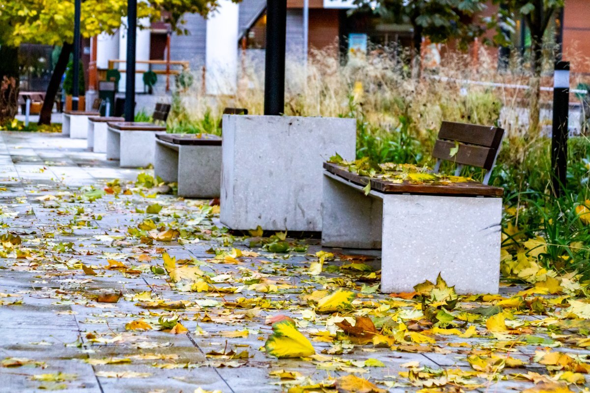    В Воронежской области ожидается аномально теплая погода