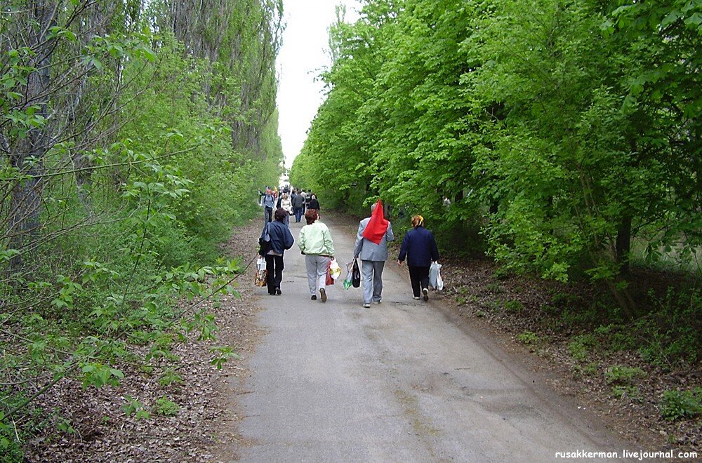 Впечатляющие воспоминания припятчанина. "В 2006 году, через 20 лет после аварии, появилась возможность снова побывать дома.-15