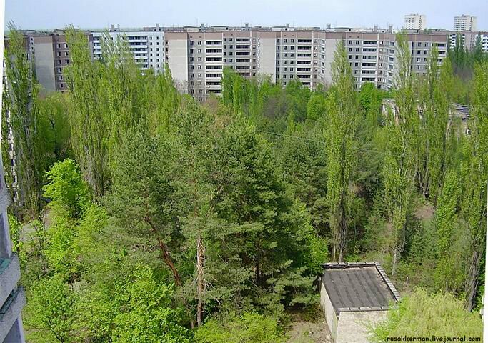 20.44. 20-й век. 1944г. При Сталине. 339 стр.