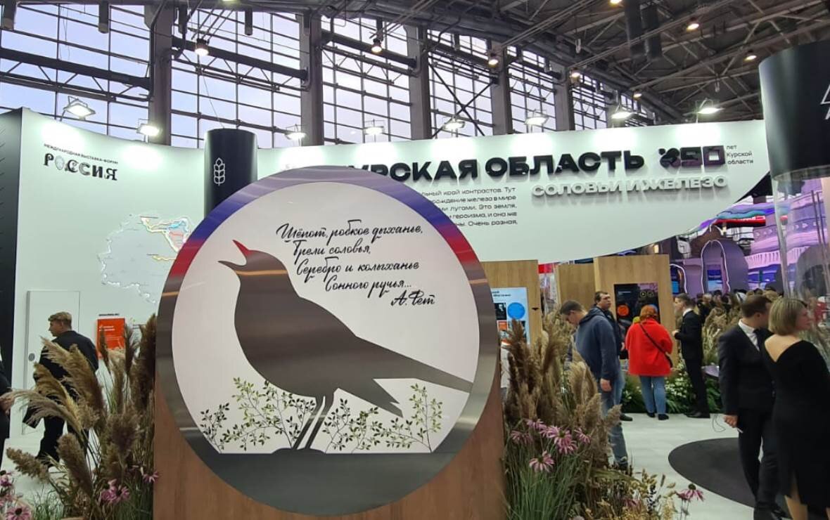 Фото: РБК Черноземье