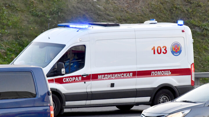 ФОТО: VLADIMIR BARANOV/GLOBALLOOKPRESS