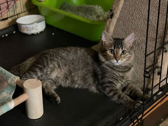 Листайте вправо, чтобы увидеть больше изображений