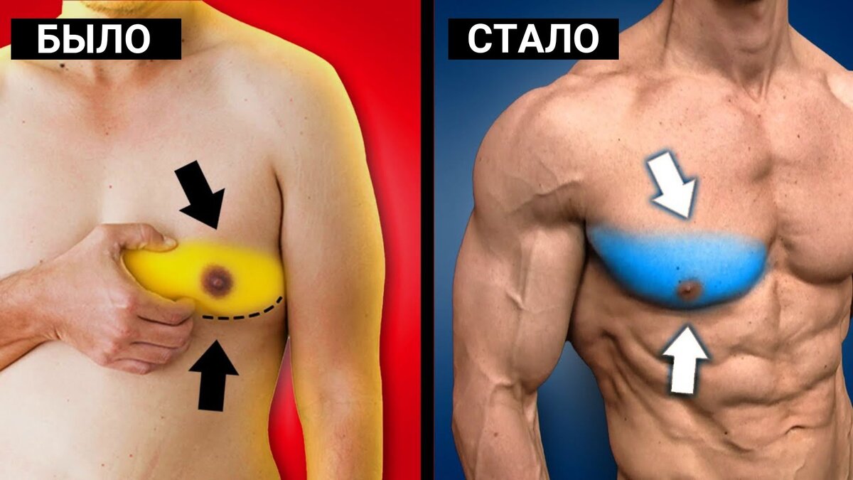 Тренер рассказал о 5 эффективных упражнениях на нижнюю часть грудных мышц.  Грудь больше не свисает | PRO TRAINING | Дзен