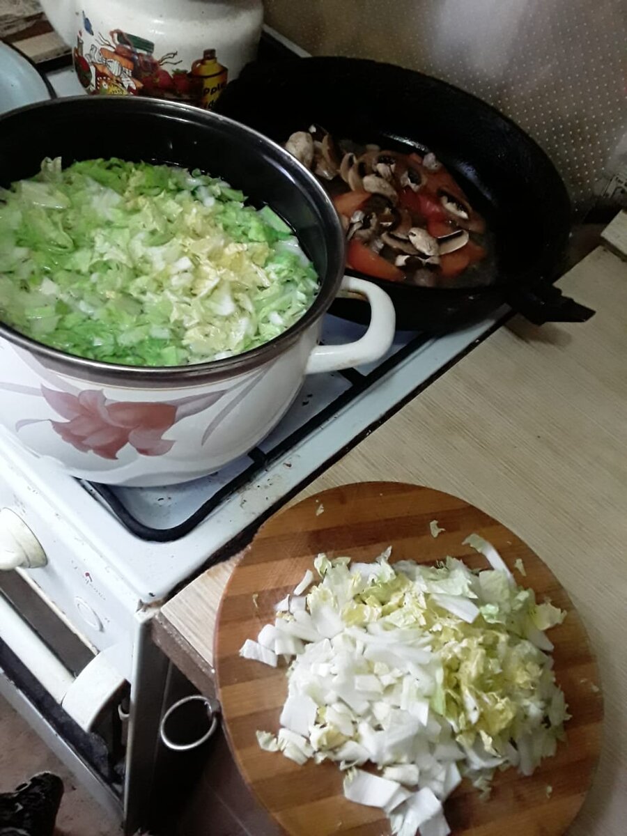 Капусту  - в кастрюлю!Рядом на плите тушится помидорка и грибы.