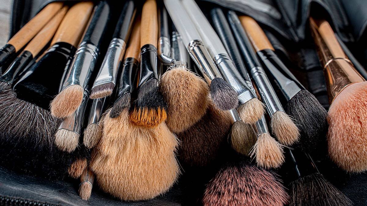    Фото: shutterstock