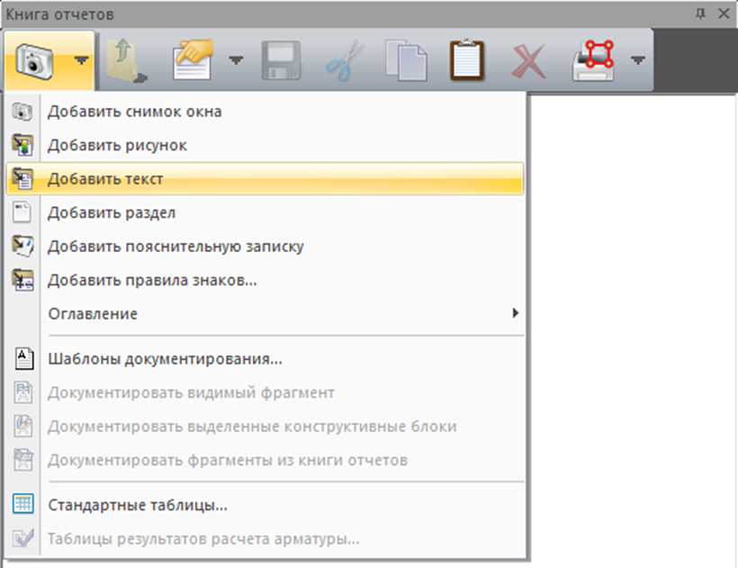 Добавление текста в книгу отчётов
