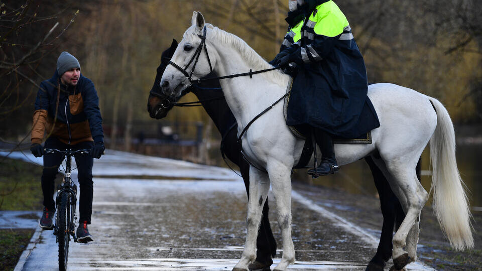 Фото: © РИА Новости/Алексей Майшев