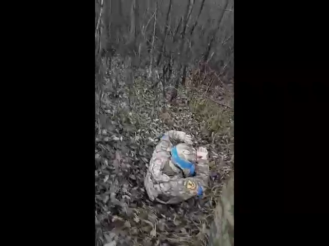 Фото: Скриншот видео Телеграм/ СВЕЖЕСТИ