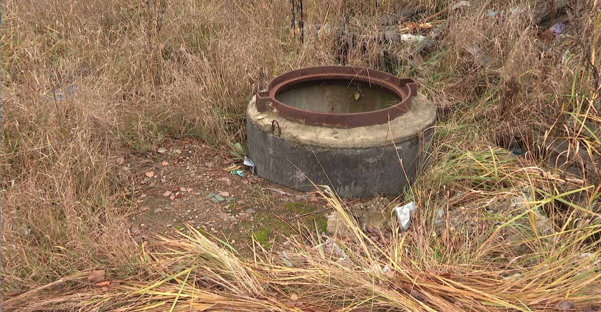    В Иванове рядом с «Гринвилль парком» собака упала в канализационный колодец