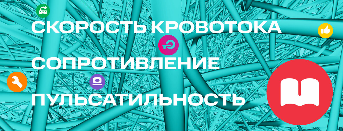 УЗИ сосудов конечностей. Правила и алгоритмы | MEDFORD Медицинское ...