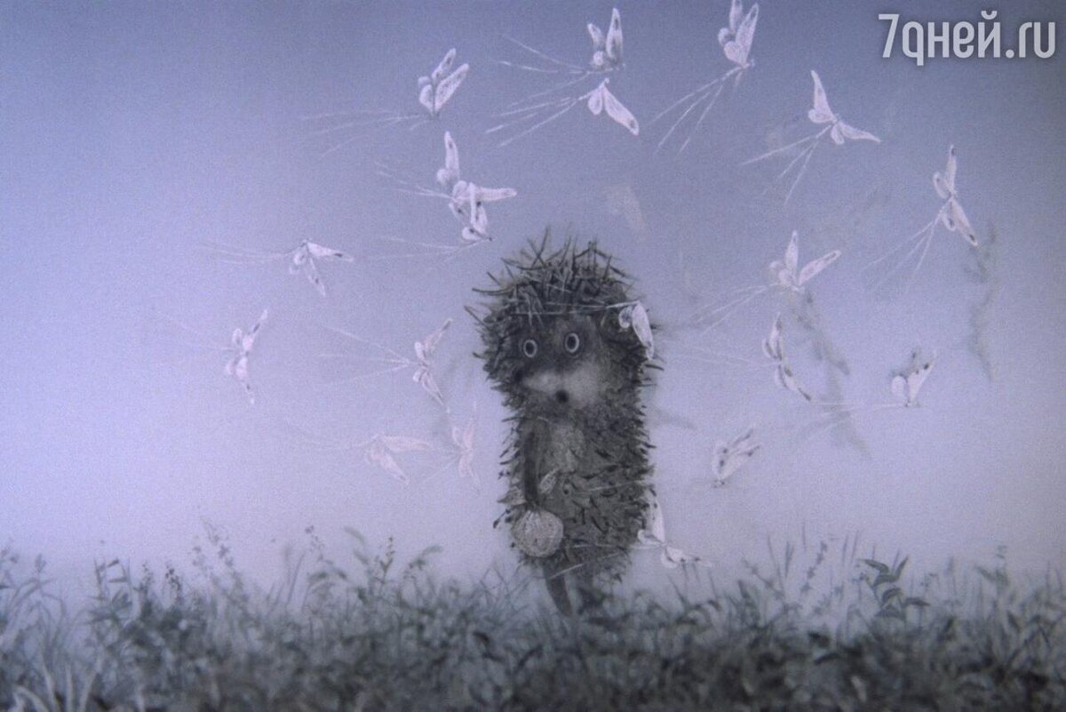    «Ежик в тумане», 1975 кадр из мультфильма