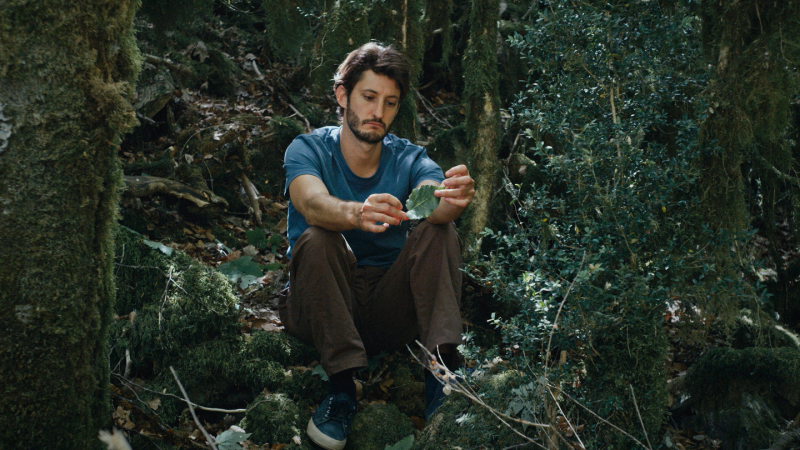    В российский прокат выходит новый фильм Мишеля Гондри «Книга решений» (фото 3)