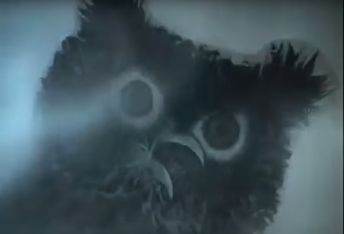 Наверное, это плохо, что у ёжика не было штанов. Наполненные страхом, они точно не дали бы ему утонуть впоследствии...