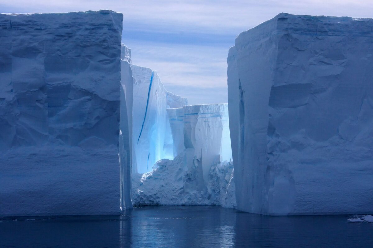 Самую большую площадь занимают ледники. Шельфовые ледники Антарктиды. Ледник Росса в Антарктиде. Шельфовый ледник Росса таяние. Антарктида Росса шельфовые ледники Росса.