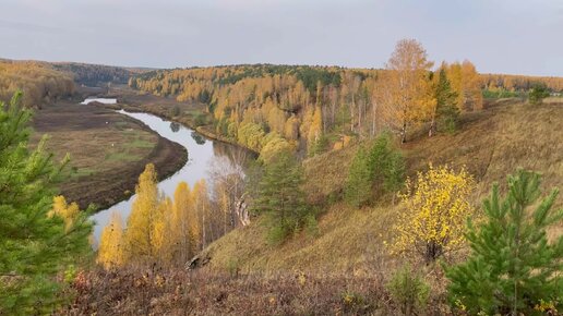 Золото на берегах реки Немда